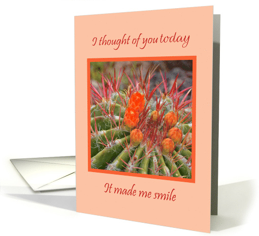 I Thought of You Today and it Made Me Smile with Orange... (1846170)