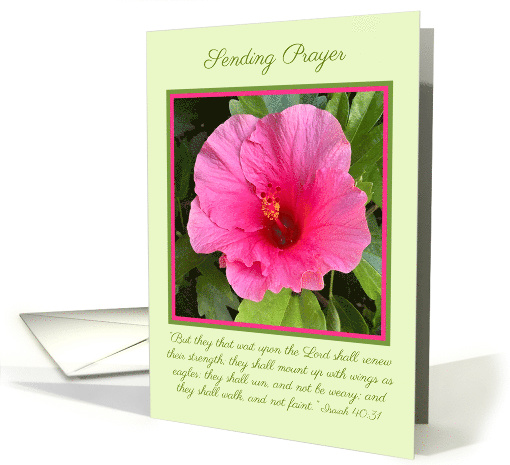 Sending Prayer Encouragement with Pink Hibiscus and Verse card