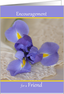 Encouragement for a Friend with Blue and Yellow Iris on Lace card