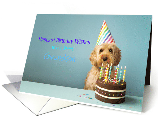 Grandson Birthday Wishes with Dog with Party Hat and Cake card