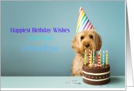 Grandson Birthday Wishes with Dog with Party Hat and Cake card