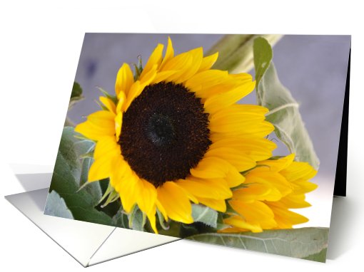 A Sunny Birthday Sunflower card (696543)