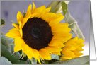 A Sunny Birthday Sunflower card