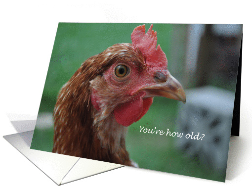 Humorous Spring Chicken Birthday, Chicken face card (697117)