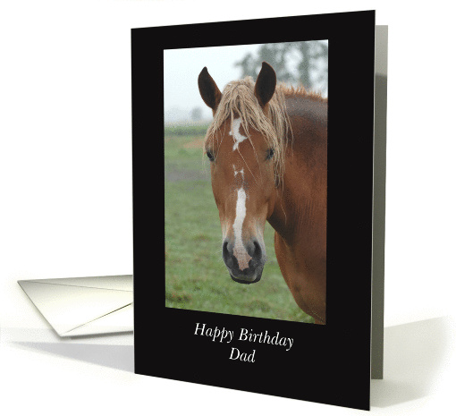 Dad Horse Birthday, Framed Horse Photo card (698564)