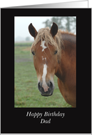 Dad Horse Birthday, Framed Horse Photo card
