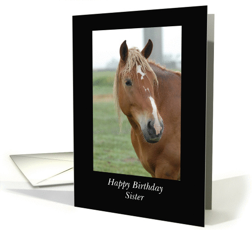 Sister Birthday Horse card (698566)
