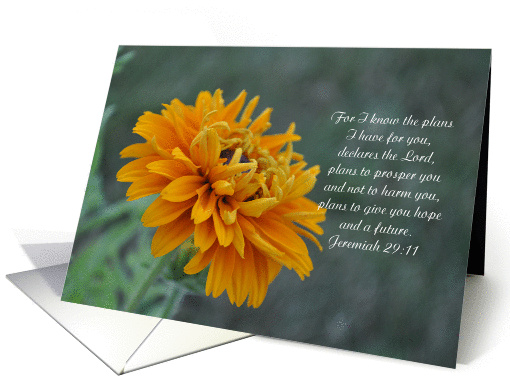 Jeremiah 29:11 Notecard card (698580)