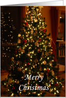 Christmas tree with...
