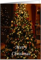Christmas tree with lights card