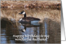 Husband Goose Birthday card