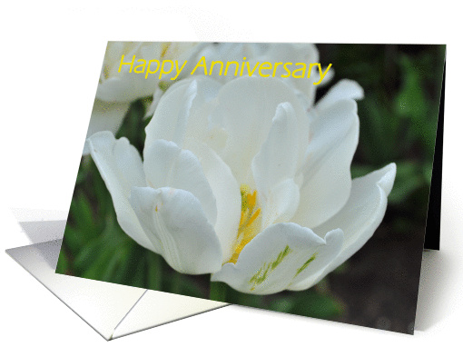 Wedding Anniversary with White Tulip card (709323)