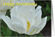 Wedding Anniversary with White Tulip card
