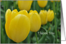 Yellow Tulips Thanks You card