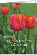 Red Tulips Mother’s Day Mom card