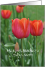 Red Tulips Mother’s Day Mom card