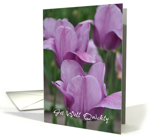 PurpleTulips Get Well card (710216)