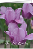 PurpleTulips Get Well card