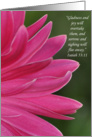 Pink Petals of Encouragement card