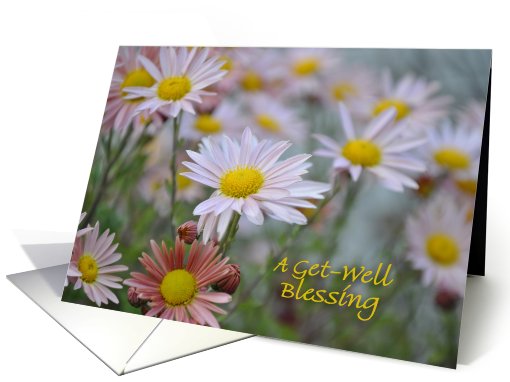 Pink Daisy Get-Well Blessing card (712056)