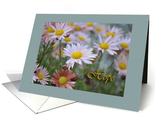 Painted Daisies Hope card (713931)