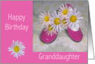 Pink Shoes & Daises Granddaughter Birthday card