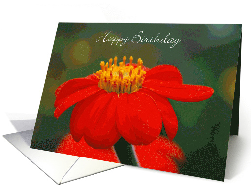 Mexican Sunflower, Happy Birthday card (784098)