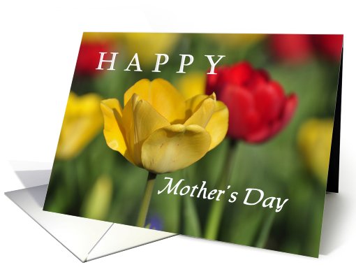 Red and yellow tulips, Happy Mother's Day card (785832)