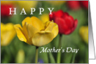 Red and yellow tulips, Happy Mother’s Day card