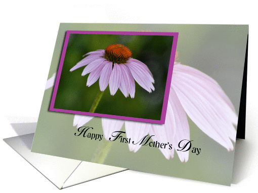 Happy First Mother's day, purple coneflower card (787693)