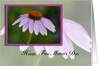 Happy First Mother’s day, purple coneflower card