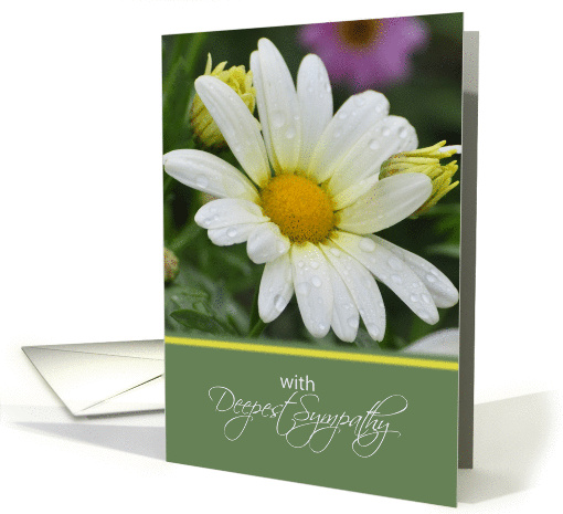 With Deepest Sympathy, White Daisy card (789438)