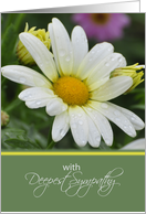 With Deepest Sympathy, White Daisy card