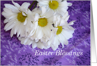 White Daisies with Purple, Easter Blessings card