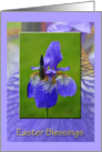 Purple Iris, Easter Blessings card