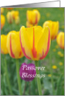 Yellow and Pink Tulips saying Passover Blessings card