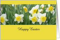 Daffodils, Happy Easter card