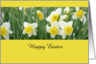 Daffodils, Happy Easter card