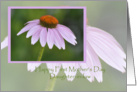 Coneflower, Happy First Mother’s Day Daughter-in-law card