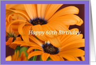 Orange Lilies, Happy 60th Birthday card