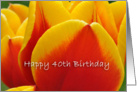 Red and Yellow Tulips, Happy 40th Birthday card