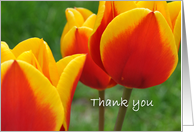 Red and Yellow Tulips, Thank you card