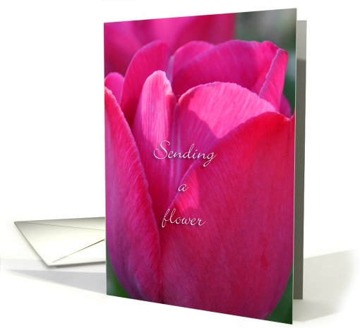 Sending a flower, pink tulip healing card (810317)