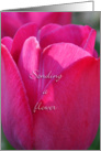 Sending a flower, pink tulip healing card