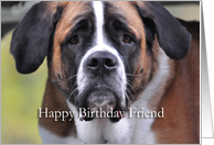 Happy Birthday Friend, Saint Bernard card