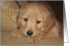 Missing you, golden retriever puppy card