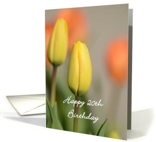 Happy 20th Birthday, Yellow and Orange Tulips card (811721)