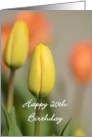 Happy 20th Birthday, Yellow and Orange Tulips card