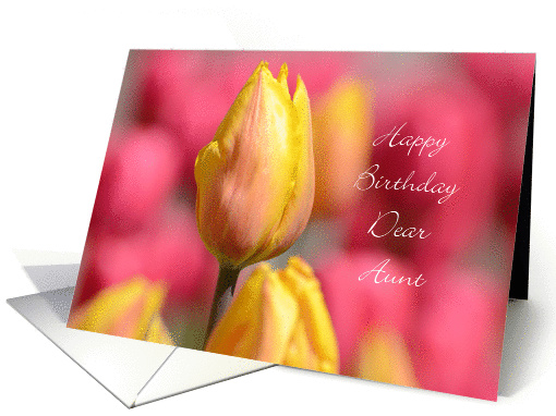 Happy Birthday Dear Aunt, Yellow and Pink Tulips card (814821)