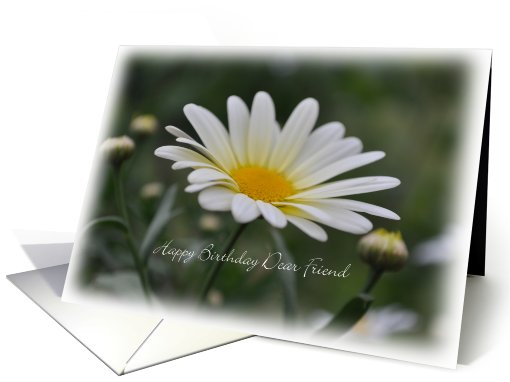 Happy Birthday Dear Friend, White Daisy card (814825)